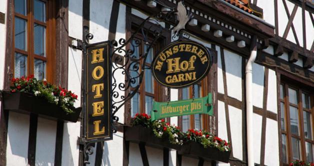Hotel Munsterer Hof エクステリア 写真